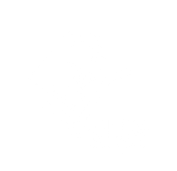 Vogue Essentials